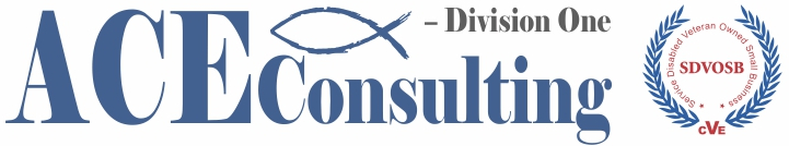 Ace Consulting [BETA]